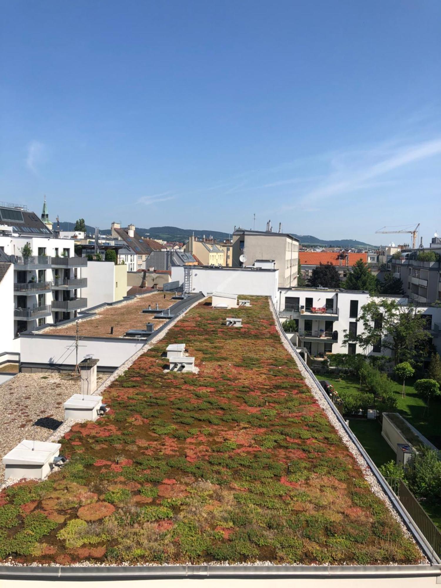 Apartment Sunny Side Up Wien